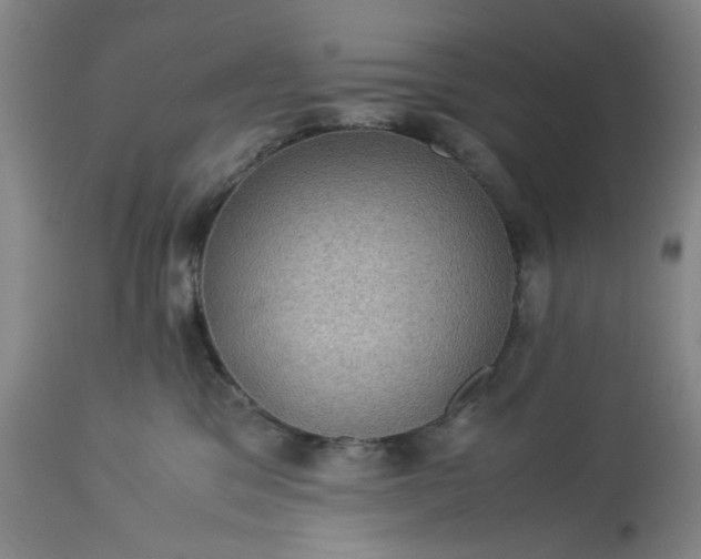 X0000113240329200909241553