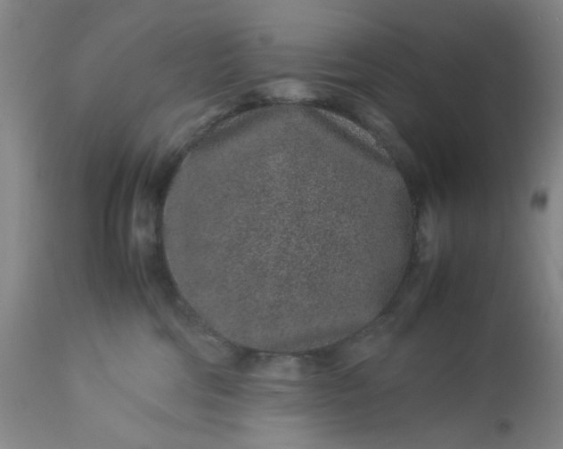 X0000113240330200909241553