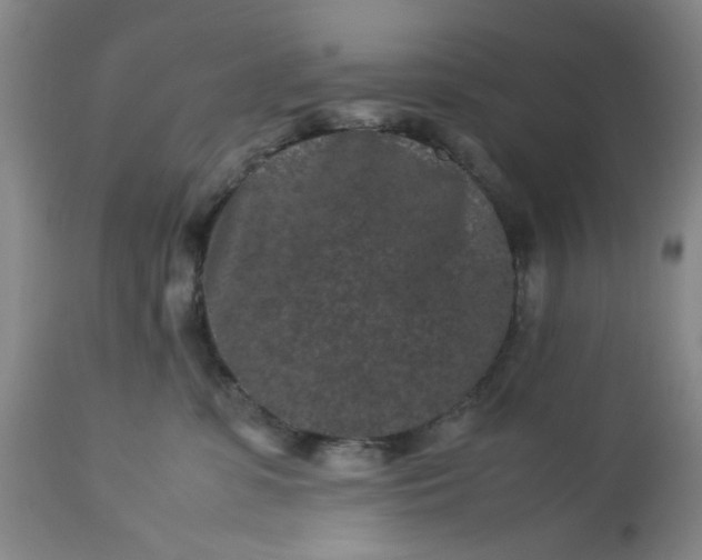 X0000113240331200909241553