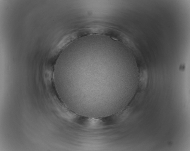 X0000113240333200909241553