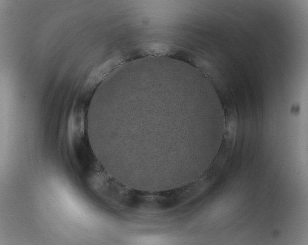 X0000113240334200909241552