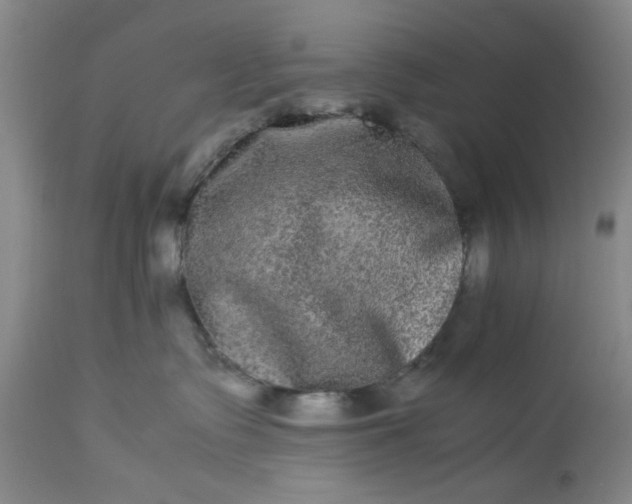 X0000113240335200909241552