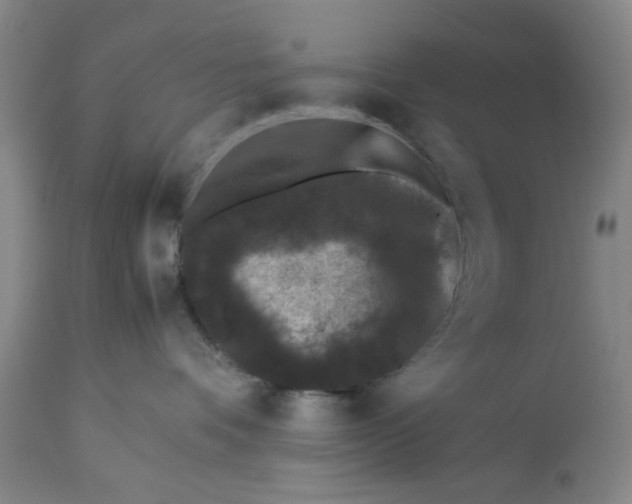 X0000113240336200909241552