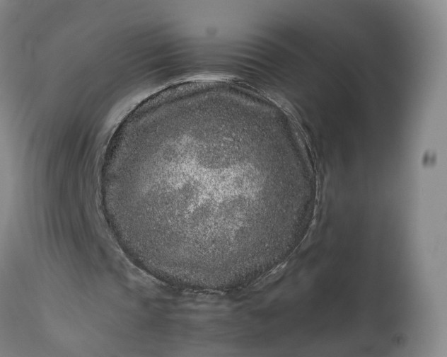 X0000113240337200909241552