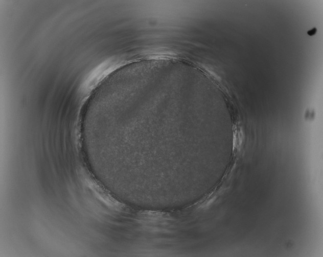 X0000113240339200909241552