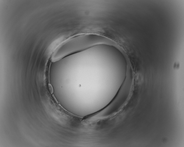 X0000113240340200909241552