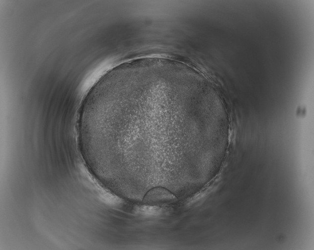 X0000113240341200909241552