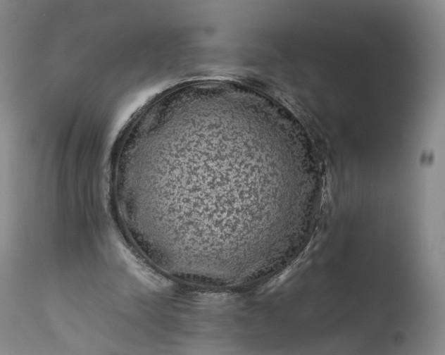 X0000113240342200909241552