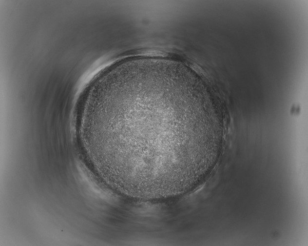 X0000113240343200909241552