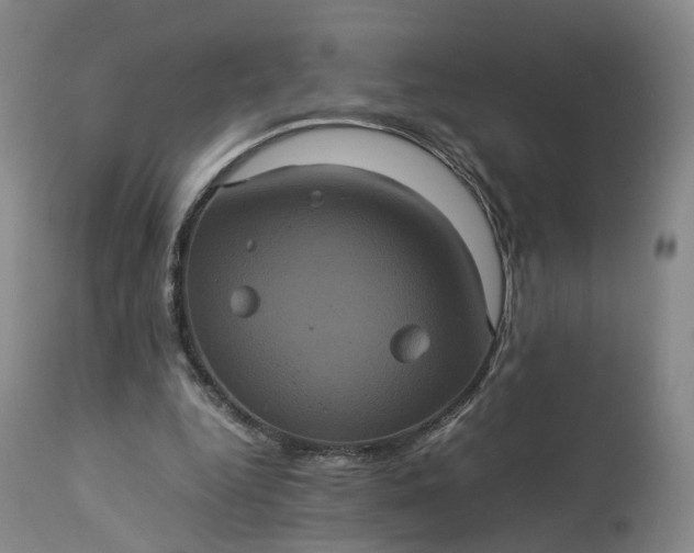 X0000113240344200909241552