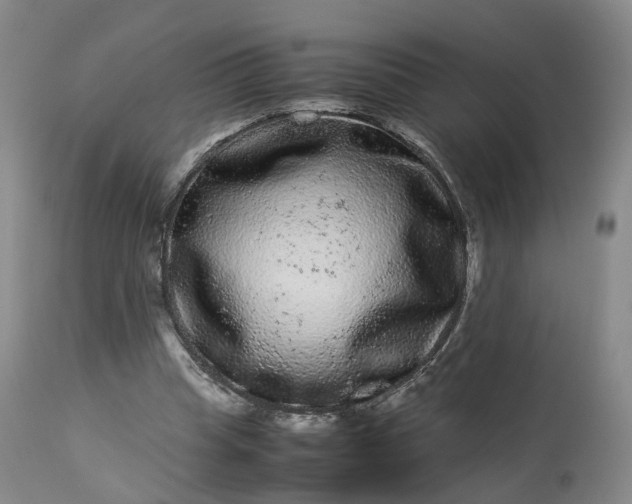 X0000113240345200909241552