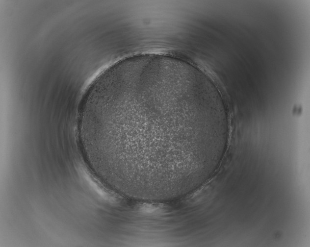 X0000113240346200909241552