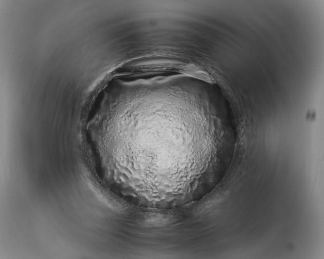 X0000113240347200909241552