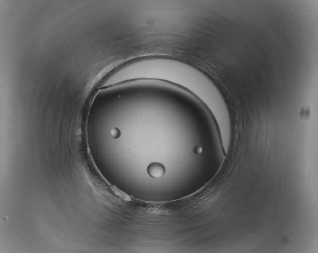 X0000113240348200909241552