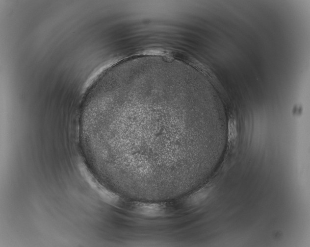 X0000113240349200909241552