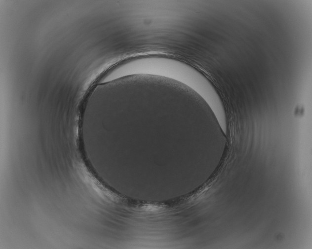 X0000113240350200909241552