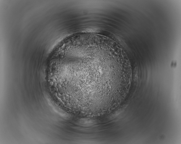 X0000113240351200909241552