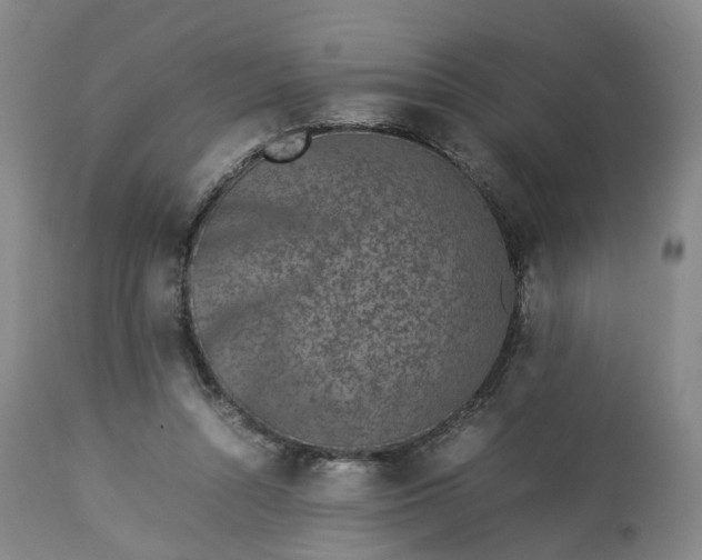 X0000113240352200909241552