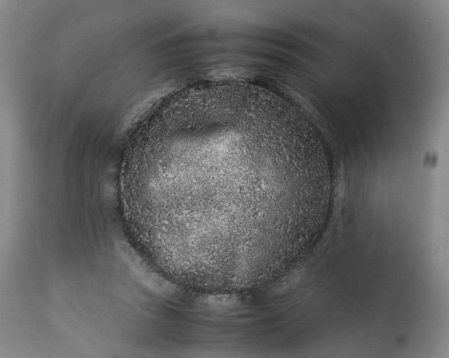 X0000113240353200909241552