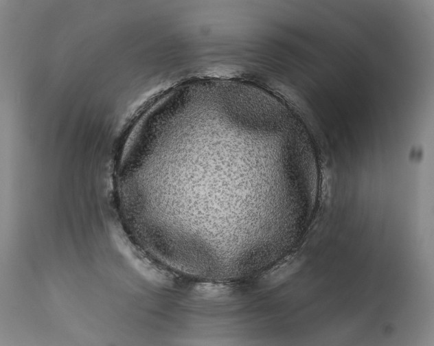 X0000113240354200909241552