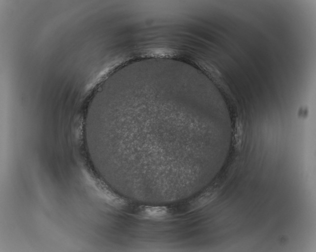 X0000113240355200909241552