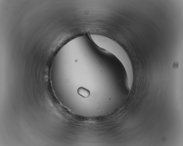 X0000113240356200909241552