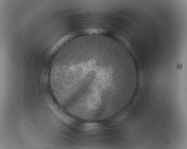 X0000113240357200909241552