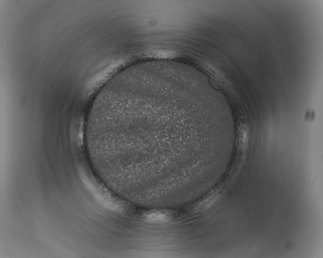 X0000113240358200909241552