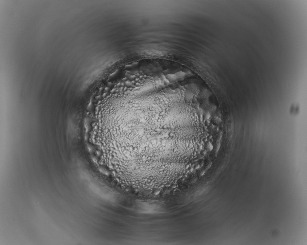 X0000113240359200909241552