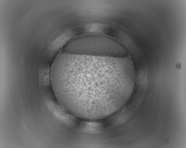 X0000113240360200909241552