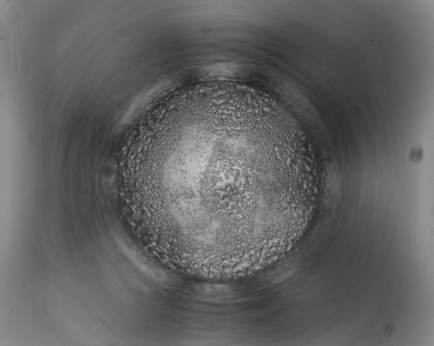 X0000113240361200909241552