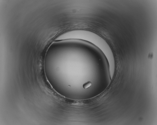 X0000113240362200909241552