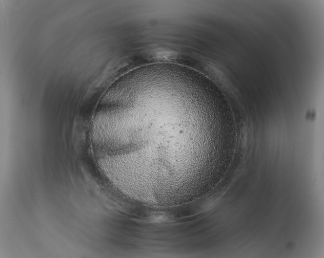 X0000113240363200909241552