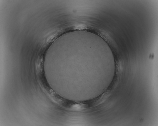 X0000113240364200909241552