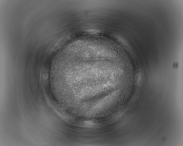 X0000113240365200909241552