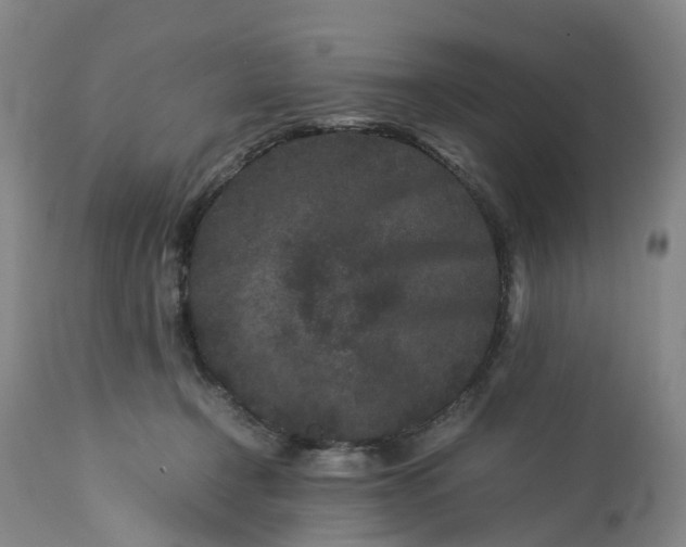 X0000113240366200909241552