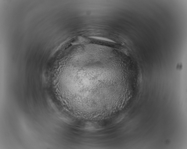 X0000113240367200909241552