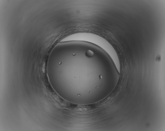 X0000113240368200909241552