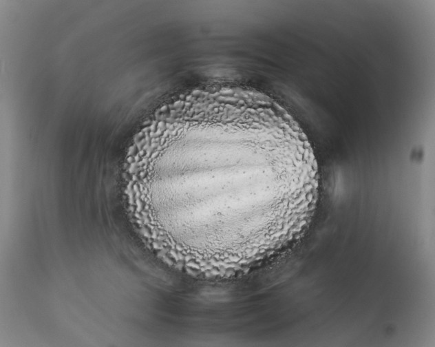 X0000113240369200909241552