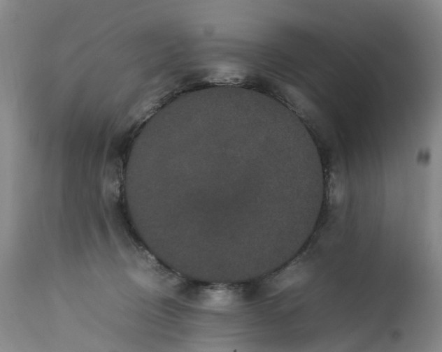 X0000113240370200909241552