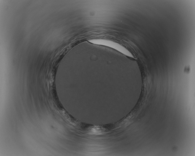 X0000113240372200909241552