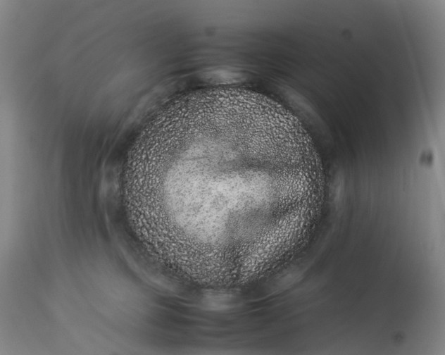 X0000113240373200909241552