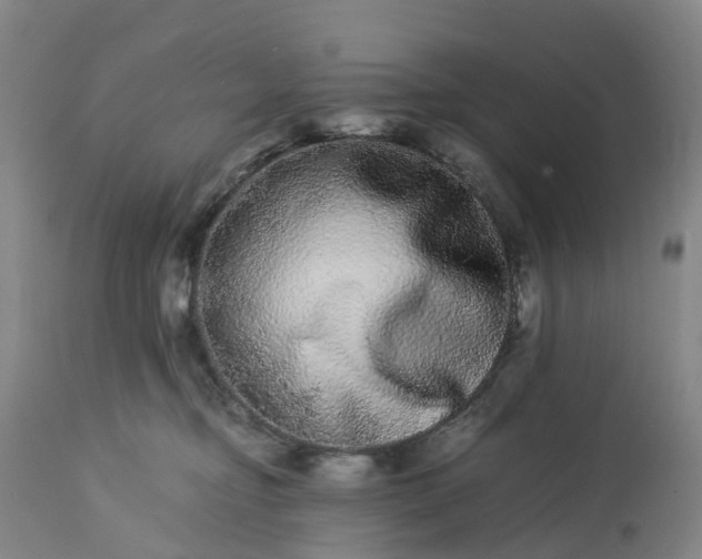 X0000113240374200909241552