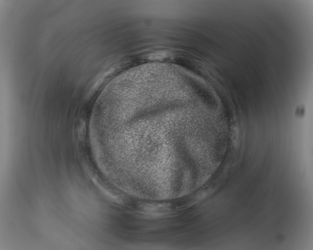 X0000113240375200909241552