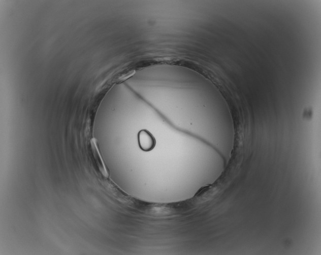 X0000113240376200909241552