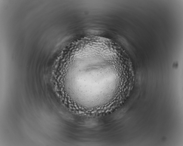 X0000113240377200909241552