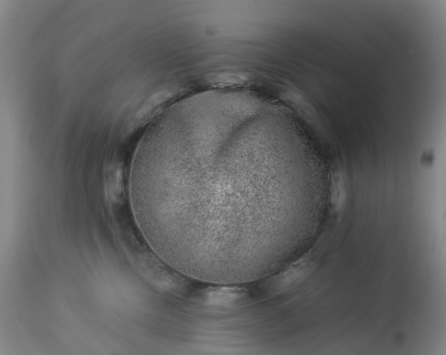 X0000113240378200909241552