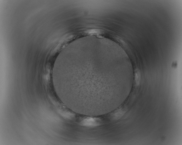 X0000113240379200909241552