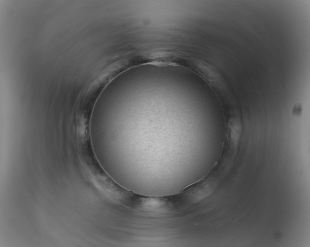 X0000113240380200909241552