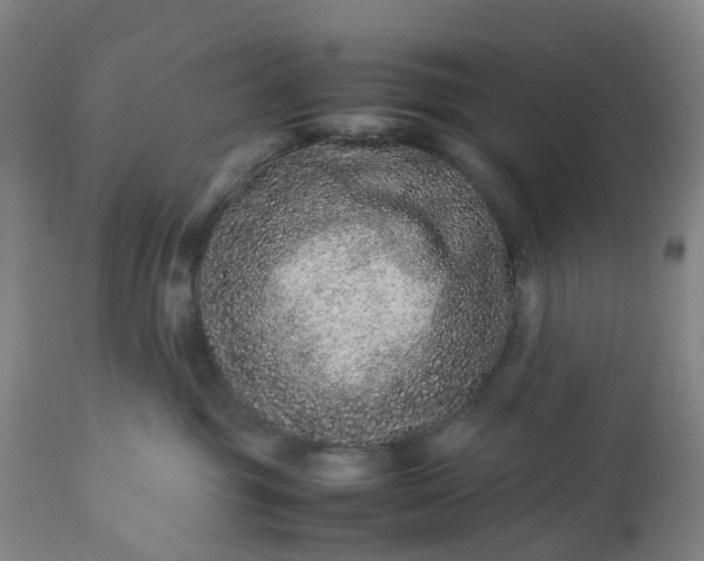 X0000113240381200909241552